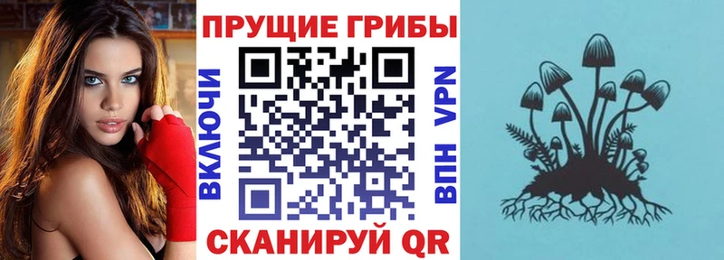 mega tor  Тамбов  Галлюциногенные грибы Magic Shrooms 